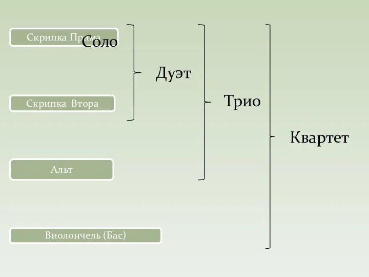 Скрипка Прима Скрипка Втора Альт Виолончель (Бас) Соло Дуэт Трио Квартет