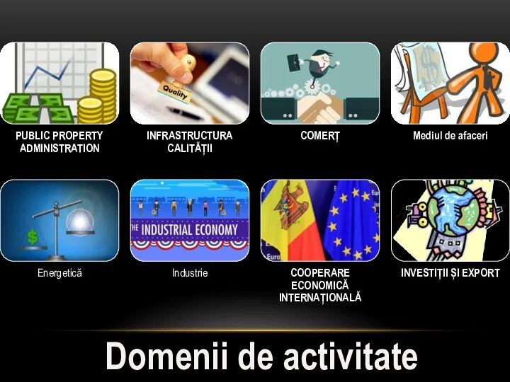 Domenii de activitate