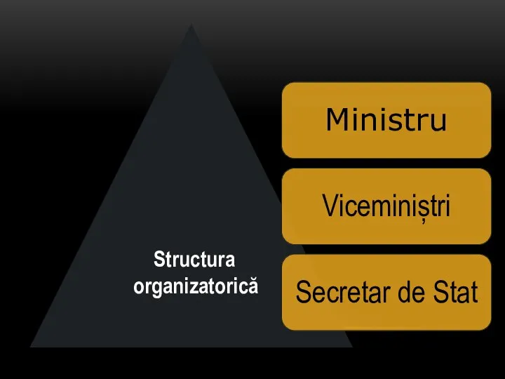 Structura organizatorică