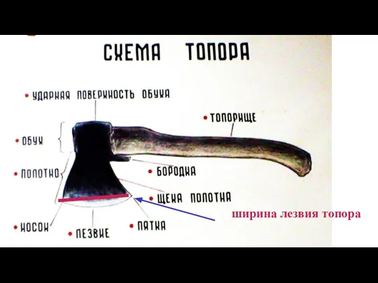 ширина лезвия топора