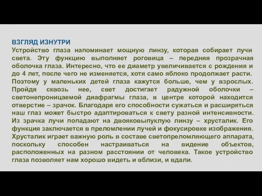 ВЗГЛЯД ИЗНУТРИ Устройство глаза напоминает мощную линзу, которая собирает лучи света. Эту