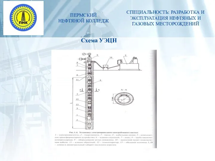 ПЕРМСКИЙ НЕФТЯНОЙ КОЛЛЕДЖ СПЕЦИАЛЬНОСТЬ: РАЗРАБОТКА И ЭКСПЛУАТАЦИЯ НЕФТЯНЫХ И ГАЗОВЫХ МЕСТОРОЖДЕНИЙ Схема УЭЦН