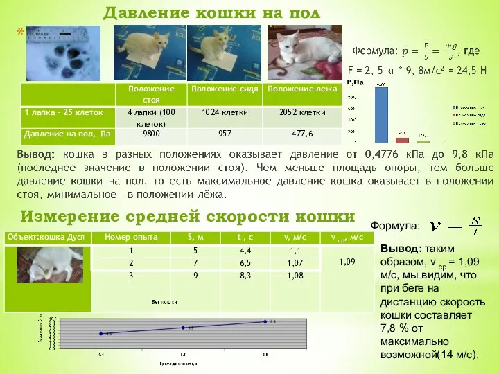 Измерение средней скорости кошки Формула: Вывод: таким образом, v ср = 1,09