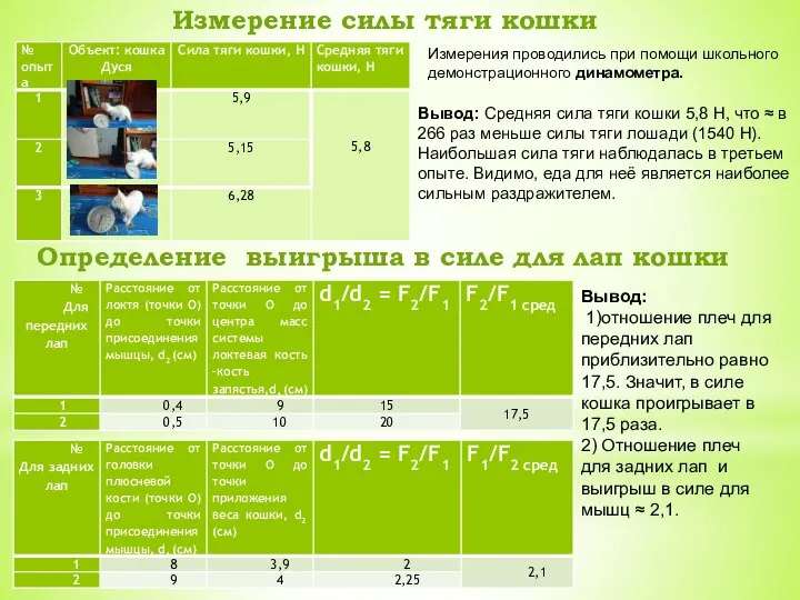 Измерение силы тяги кошки Измерения проводились при помощи школьного демонстрационного динамометра. Вывод: