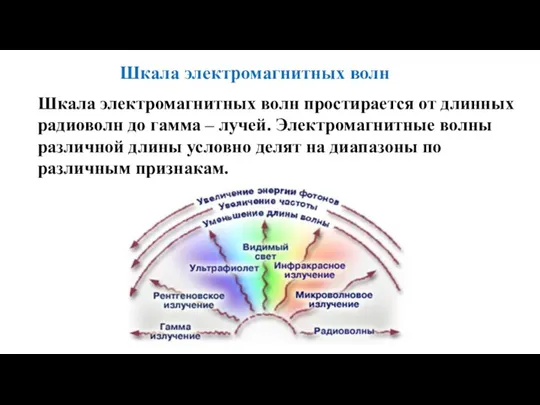 Шкала электромагнитных волн простирается от длинных радиоволн до гамма – лучей. Электромагнитные