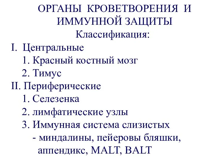 ОРГАНЫ КРОВЕТВОРЕНИЯ И ИММУННОЙ ЗАЩИТЫ Классификация: I. Центральные 1. Красный костный мозг