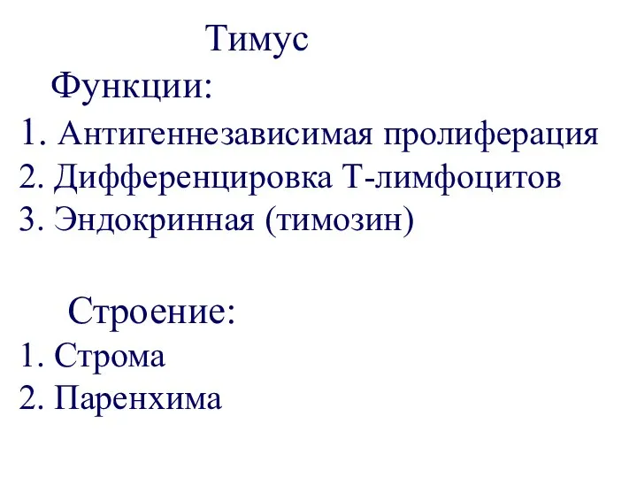 Тимус Функции: 1. Антигеннезависимая пролиферация 2. Дифференцировка Т-лимфоцитов 3. Эндокринная (тимозин) Строение: 1. Строма 2. Паренхима