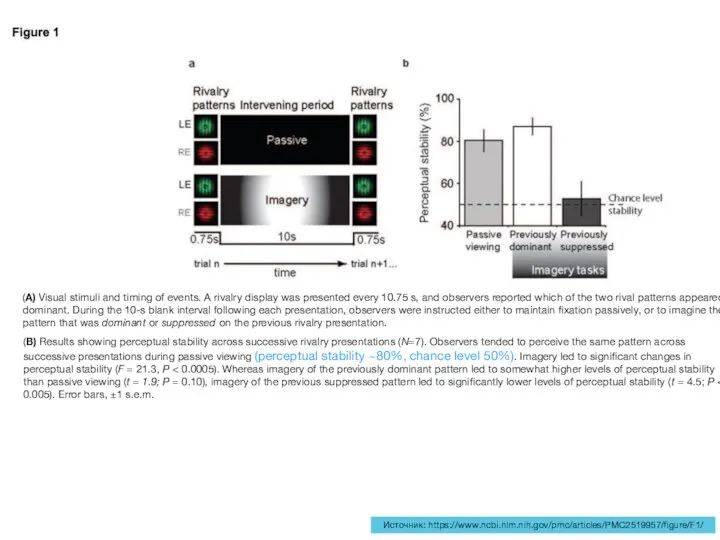 Источник: https://www.ncbi.nlm.nih.gov/pmc/articles/PMC2519957/figure/F1/ (A) Visual stimuli and timing of events. A rivalry display