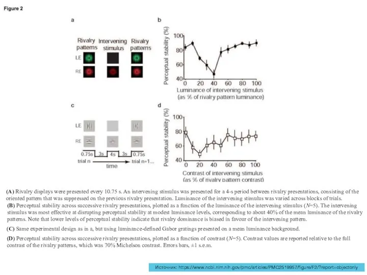 Источник: https://www.ncbi.nlm.nih.gov/pmc/articles/PMC2519957/figure/F2/?report=objectonly (A) Rivalry displays were presented every 10.75 s. An intervening