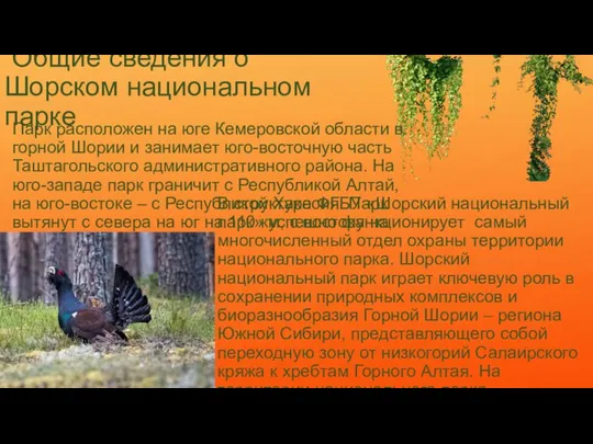 Общие сведения о Шорском национальном парке Парк расположен на юге Кемеровской области