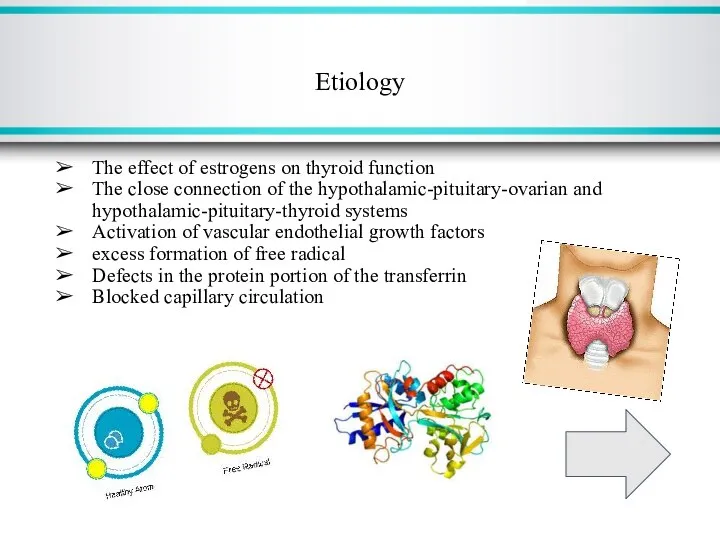 Etiology The effect of estrogens on thyroid function The close connection of