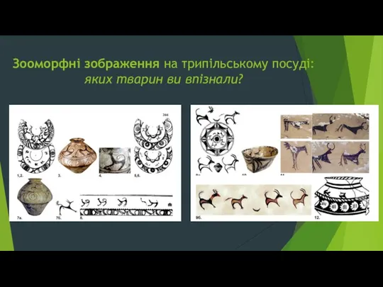 Зооморфні зображення на трипільському посуді: яких тварин ви впізнали?