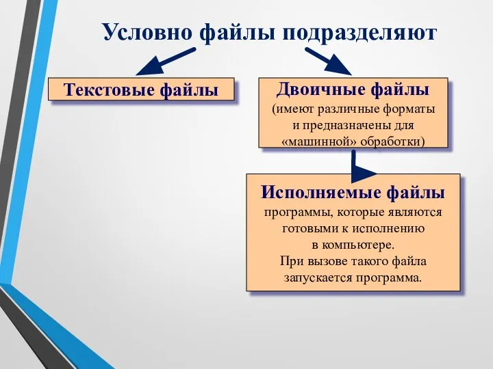 Условно файлы подразделяют Двоичные файлы (имеют различные форматы и предназначены для «машинной»