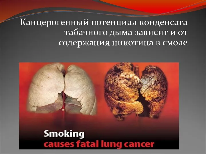Канцерогенный потенциал конденсата табачного дыма зависит и от содержания никотина в смоле