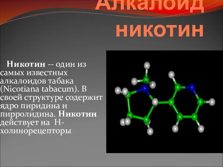 Алкалоид никотин Никотин -- один из самых известных алкалоидов табака (Nicotiana tabacum).