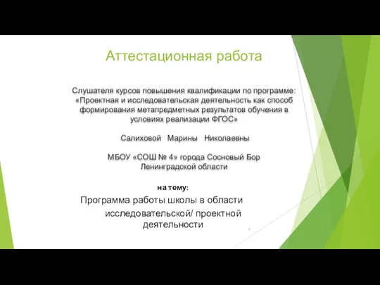 Аттестационная работа. Программа работы школы в области исследовательской и проектной деятельности