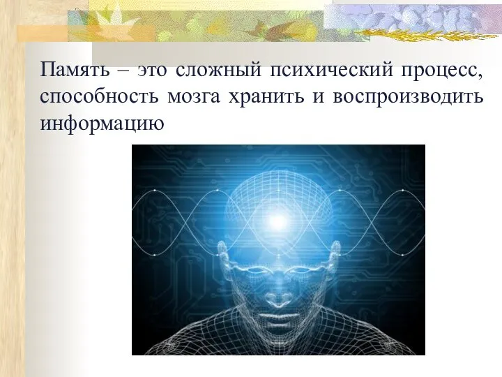 Память – это сложный психический процесс, способность мозга хранить и воспроизводить информацию