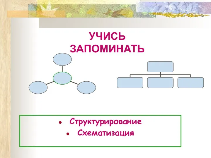 Структурирование Схематизация УЧИСЬ ЗАПОМИНАТЬ