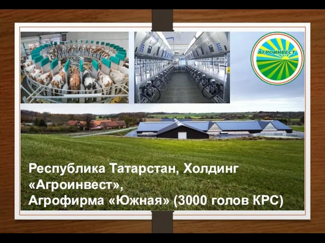 Республика Татарстан, Холдинг «Агроинвест», Агрофирма «Южная» (3000 голов КРС)