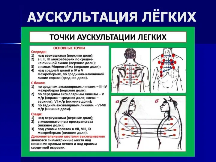 АУСКУЛЬТАЦИЯ ЛЁГКИХ