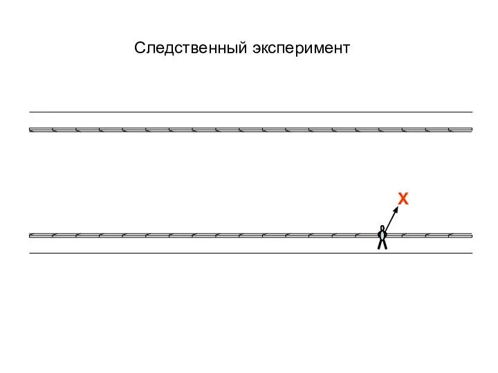 Х Следственный эксперимент