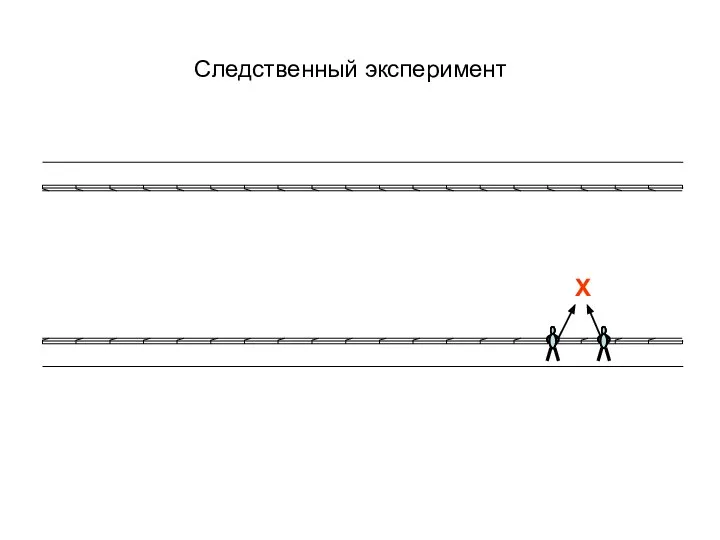 Х Следственный эксперимент