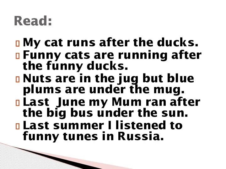 My cat runs after the ducks. Funny cats are running after the