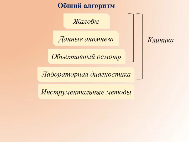 Общий алгоритм Жалобы Данные анамнеза Объективный осмотр Лабораторная диагностика Инструментальные методы Клиника