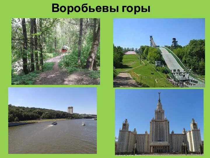 Воробьевы горы