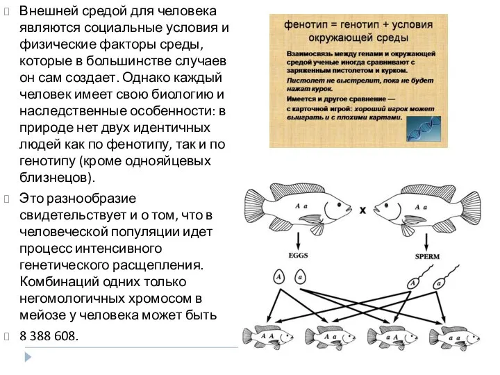 Внешней средой для человека являются социальные условия и физические факторы среды, которые