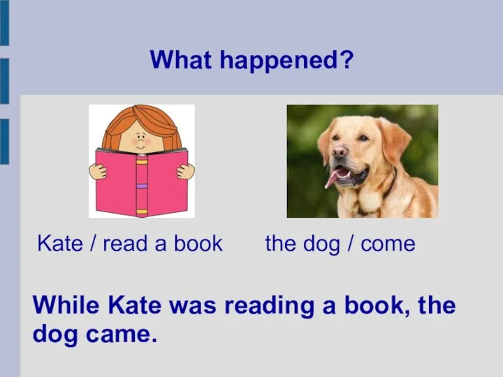 What happened? While Kate was reading a book, the dog came. Kate