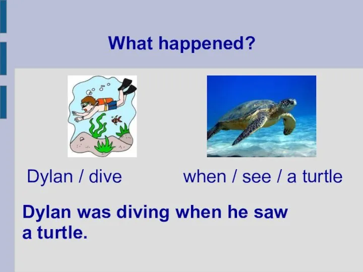 What happened? Dylan was diving when he saw a turtle. Dylan /