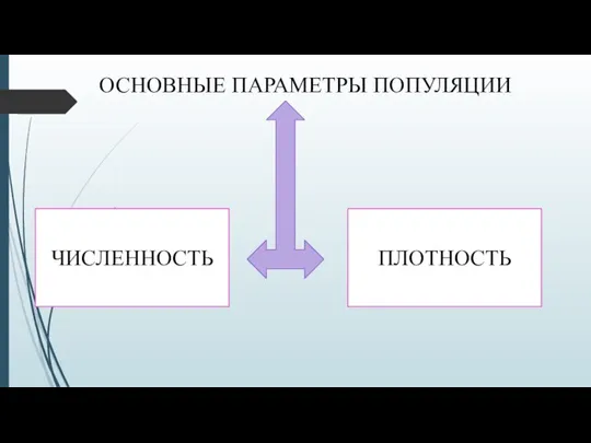 ОСНОВНЫЕ ПАРАМЕТРЫ ПОПУЛЯЦИИ ЧИСЛЕННОСТЬ ПЛОТНОСТЬ