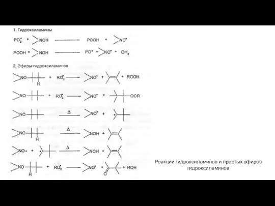 Реакции гидроксиламинов и простых эфиров гидроксиламинов