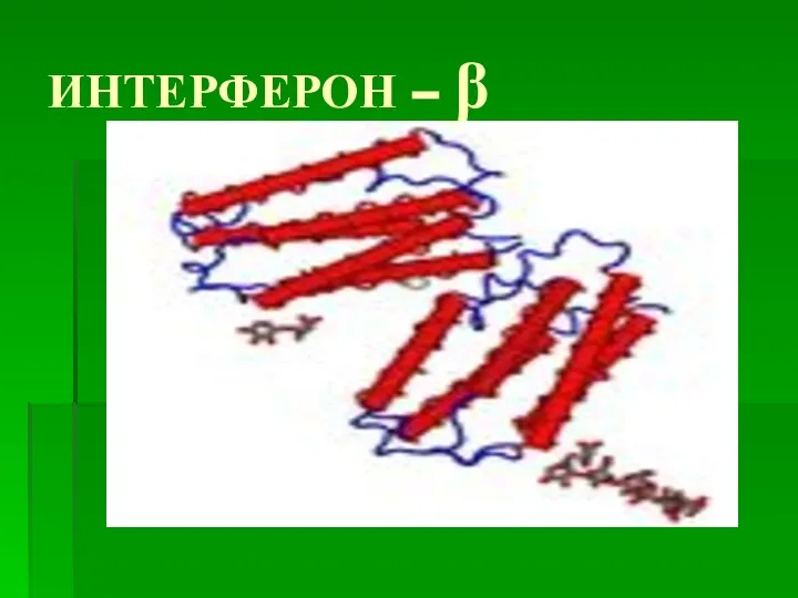 ИНТЕРФЕРОН – β