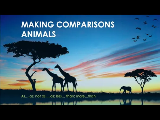 Making comparisons Animals