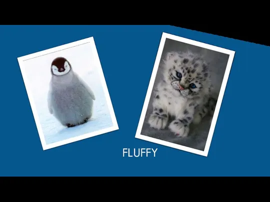 FLUFFY