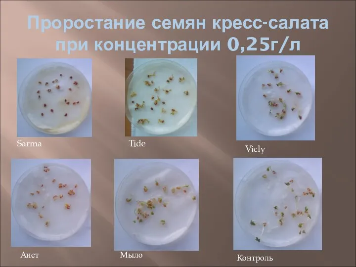 Проростание семян кресс-салата при концентрации 0,25г/л Контроль Sarma Tide Vicly Мыло Аист