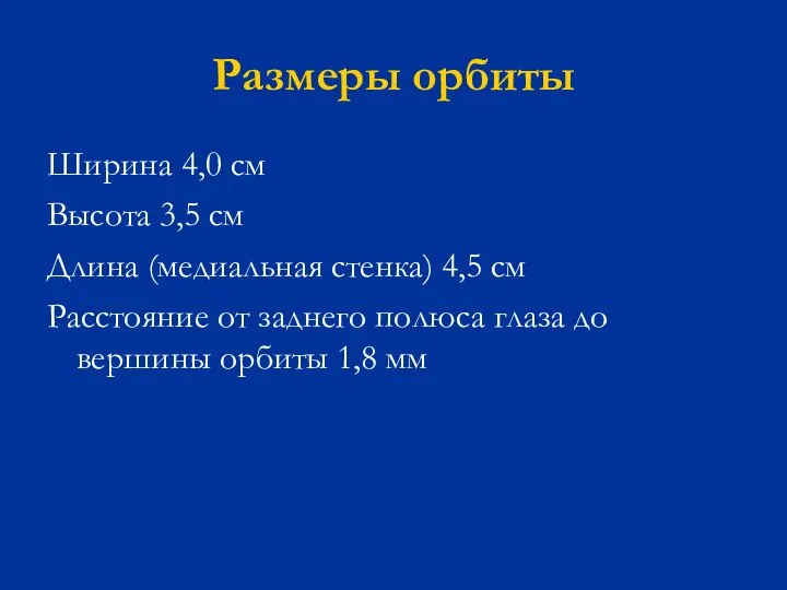 Размеры орбиты Ширина 4,0 см Высота 3,5 см Длина (медиальная стенка) 4,5