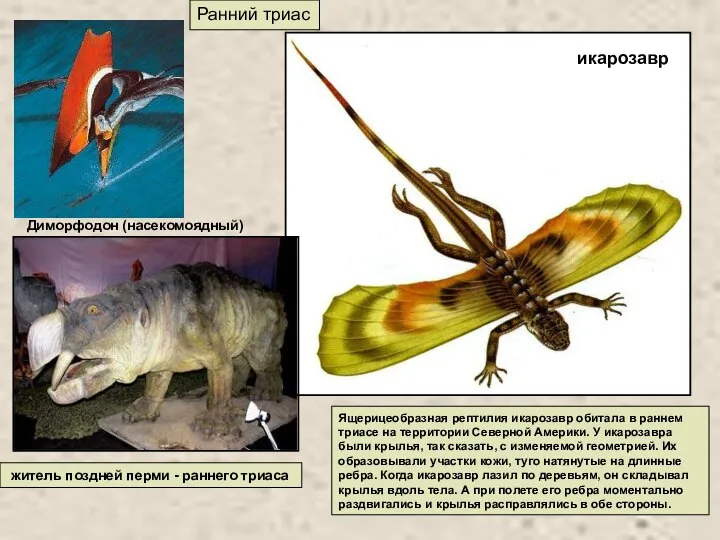 Ранний триас житель поздней перми - раннего триаса Ящерицеобразная рептилия икарозавр обитала