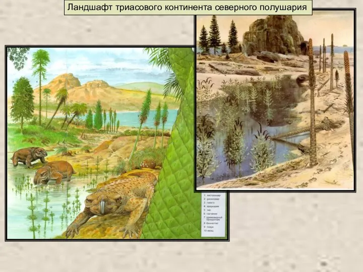 Ландшафт триасового континента северного полушария