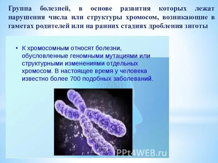 Группа болезней, в основе развития которых лежат нарушения числа или структуры хромосом,