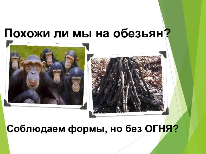 Похожи ли мы на обезьян? Соблюдаем формы, но без ОГНЯ?