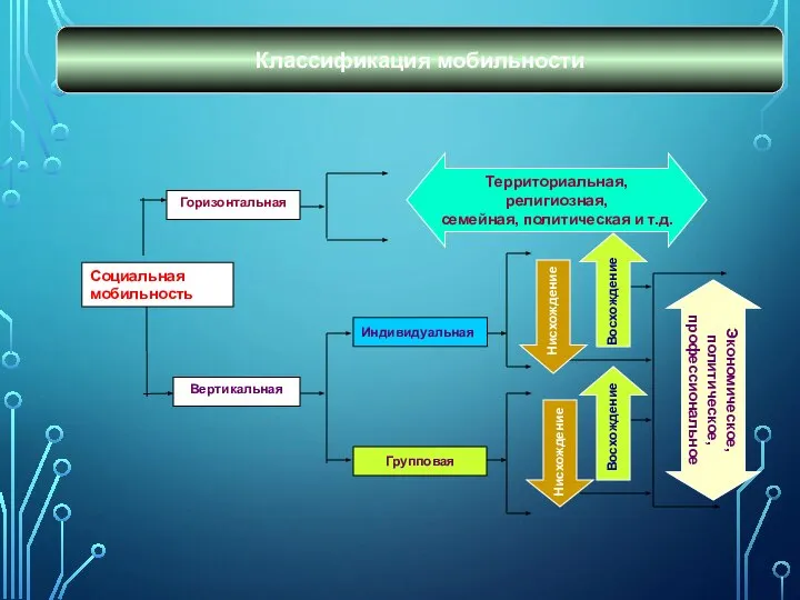 Классификация мобильности Территориальная, религиозная, семейная, политическая и т.д. Экономическое, политическое, профессиональное Восхождение Восхождение Нисхождение Нисхождение