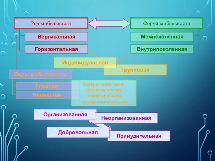 Форма мобильности Межпоколенная Горизонтальная Вертикальная Внутрипоколенная Групповая Индивидуальная Неглавные Главные Виды мобильности