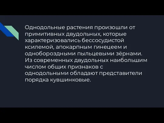 Однодольные растения произошли от примитивных двудольных, которые характеризовались бессосудистой ксилемой, апокарпным гинецеем