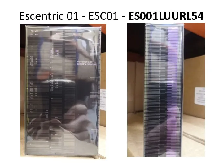 Escentric 01 - ESC01 - ES001LUURL54