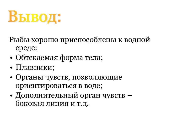 Рыбы хорошо приспособлены к водной среде: Обтекаемая форма тела; Плавники; Органы чувств,