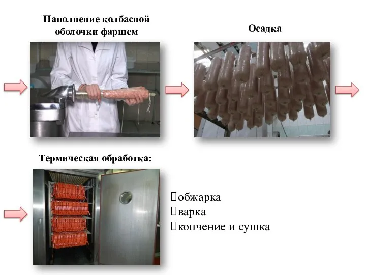 Наполнение колбасной оболочки фаршем Осадка Термическая обработка: обжарка варка копчение и сушка