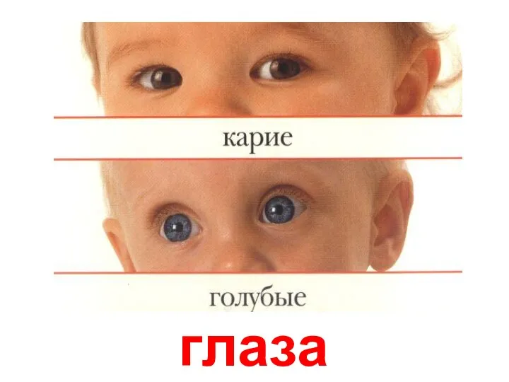 глаза